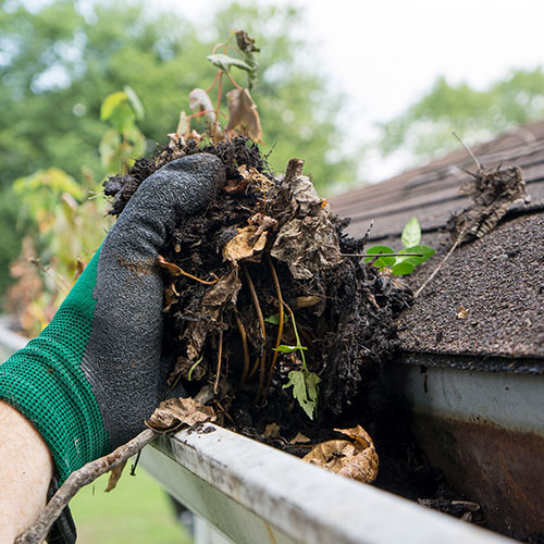 Gutter Cleaning